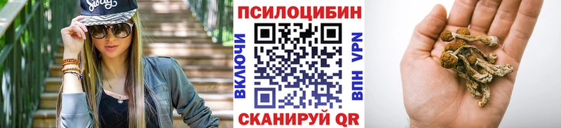 Псилоцибиновые грибы ЛСД Бежецк